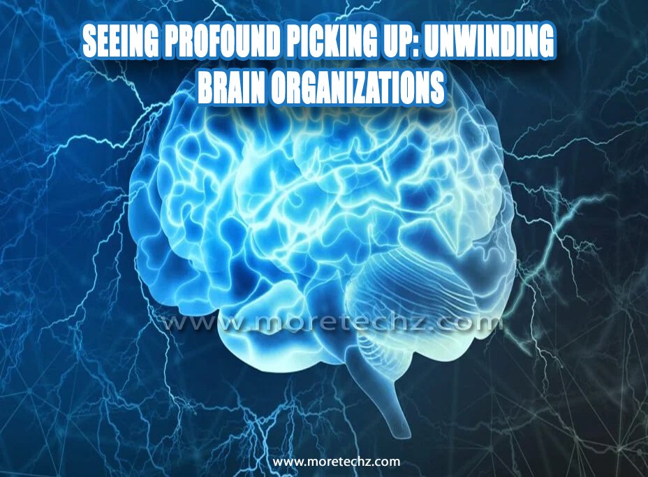 Brain Organizations